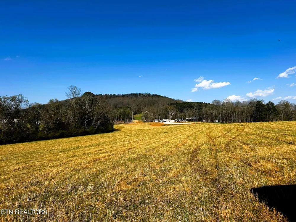 3 Lamontville Rd Decatur, TN 37322