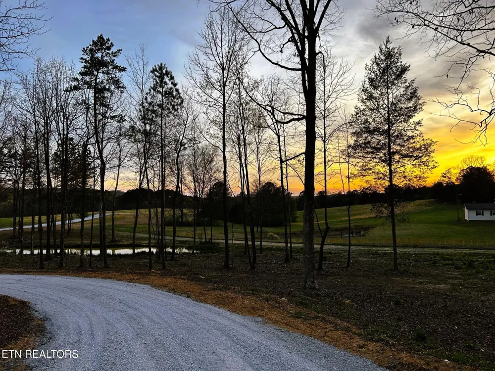 3 Lamontville Rd Decatur, TN 37322