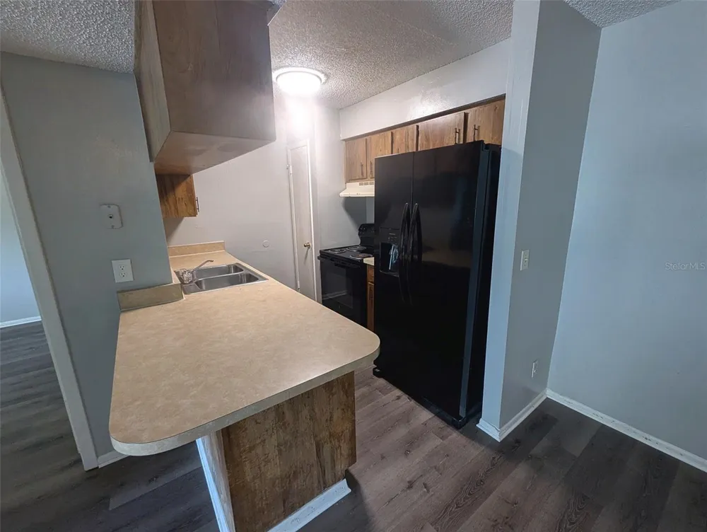 228 THORN TREE PLACE #228 Brandon, FL 33510
