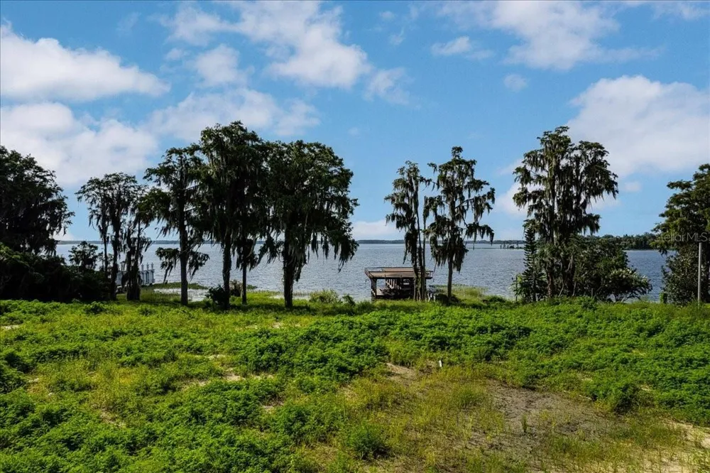 12422 PARK AVENUE Windermere, FL 34786