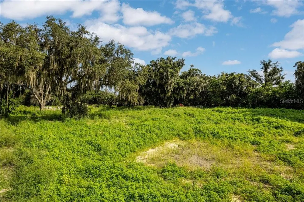 12422 PARK AVENUE Windermere, FL 34786