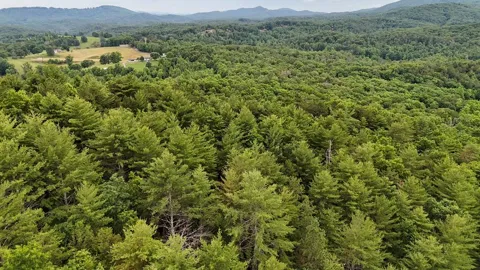 00 Choctaw Ridge Trail