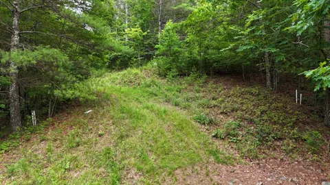 00 Choctaw Ridge Trail
