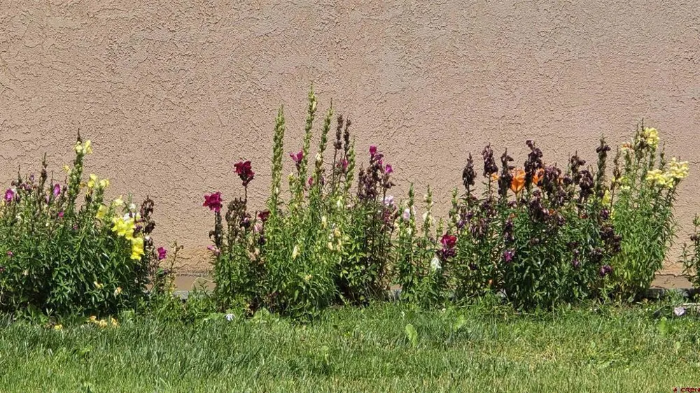 20975 Road B Cortez, CO 81321