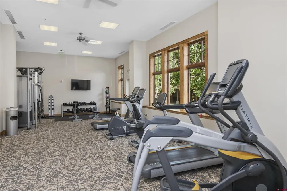 620 Gothic Road #208 Crested Butte, CO 81225
