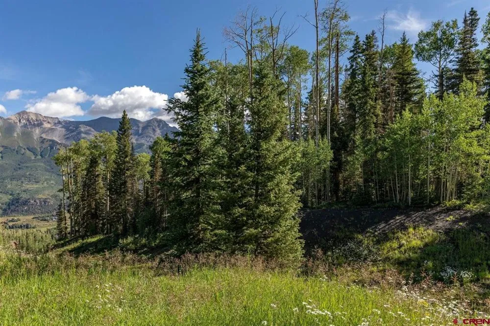 Lot 333 Benchmark Drive Mountain Village, CO 81435
