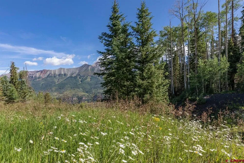 Lot 333 Benchmark Drive Mountain Village, CO 81435