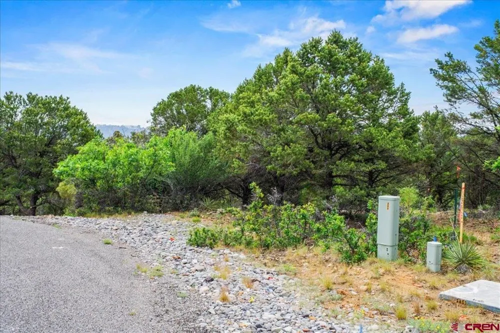 233 Woodchuck Lane Ridgway, CO 81432