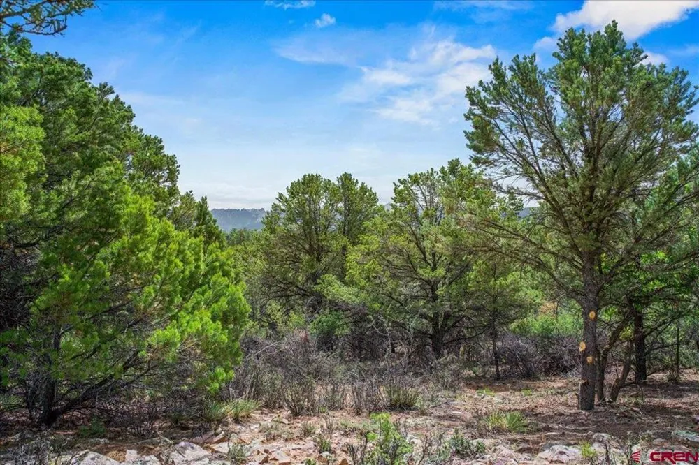 233 Woodchuck Lane Ridgway, CO 81432