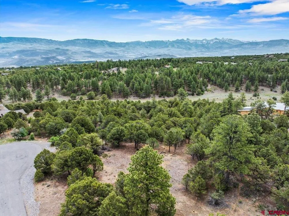233 Woodchuck Lane Ridgway, CO 81432