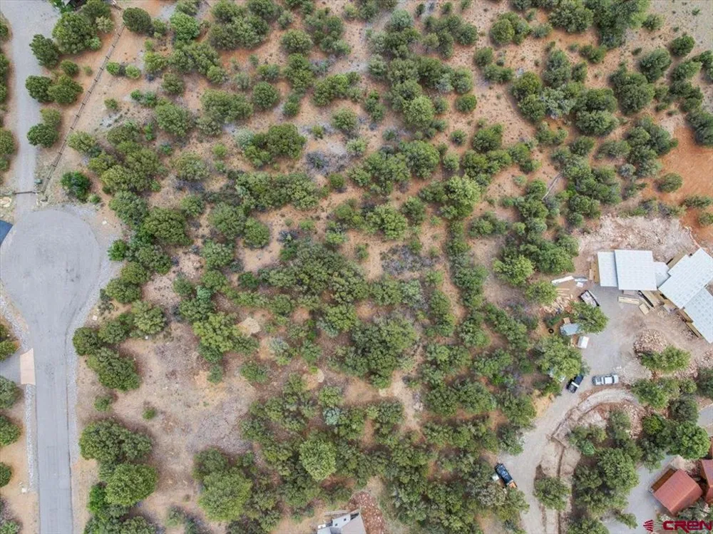 233 Woodchuck Lane Ridgway, CO 81432