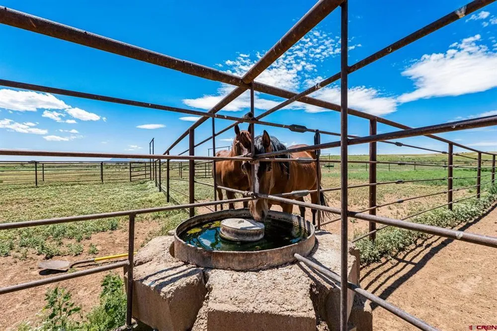 18606 Road Z Yellow Jacket, CO 81335
