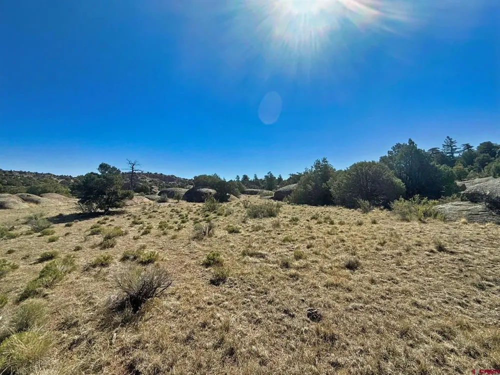 114 Antares Road Del Norte, CO 81132