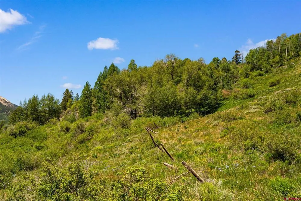 County Road 738 Crested Butte, CO 81224