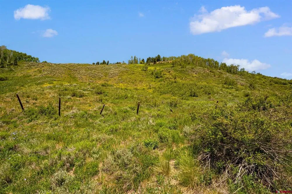 County Road 738 Crested Butte, CO 81224