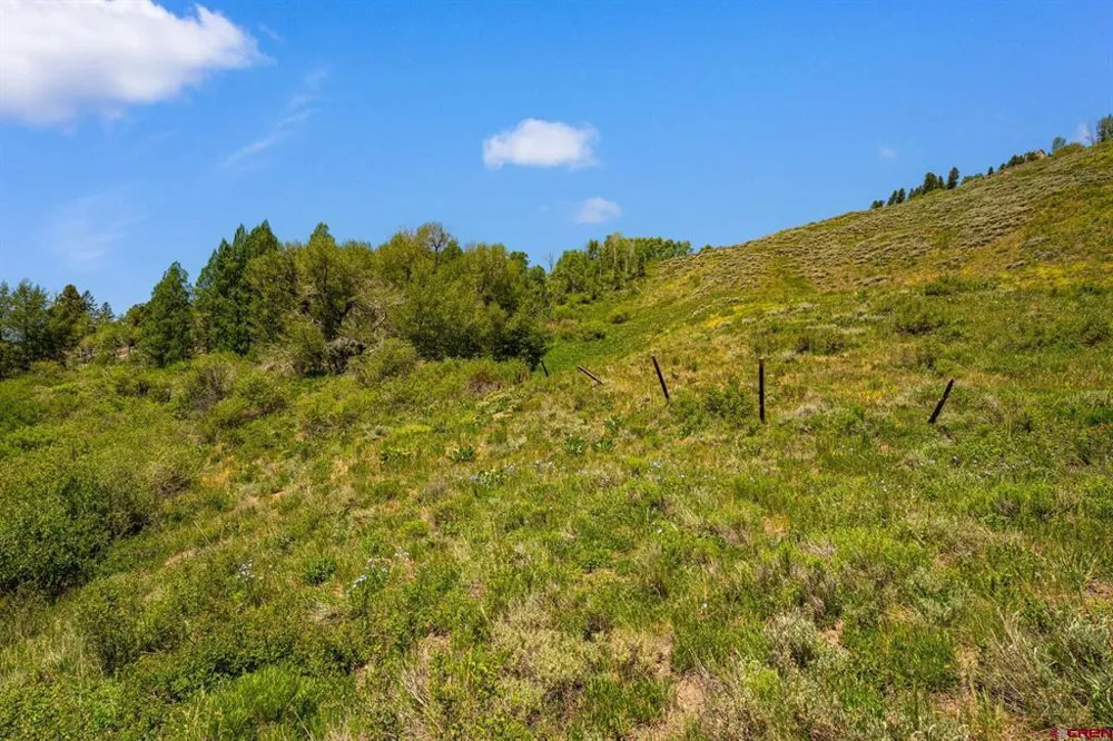 County Road 738 Crested Butte, CO 81224