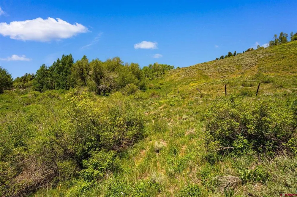 County Road 738 Crested Butte, CO 81224