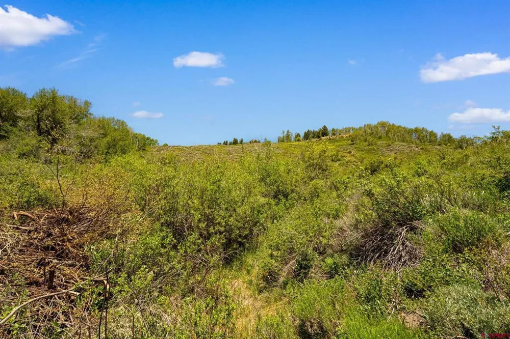County Road 738 Crested Butte, CO 81224