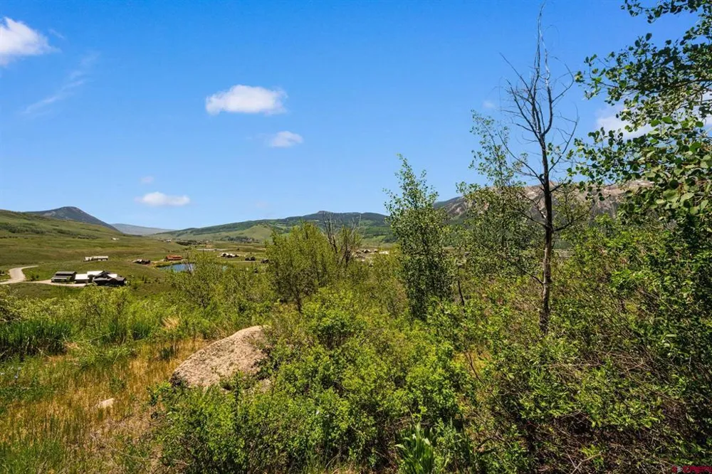 County Road 738 Crested Butte, CO 81224