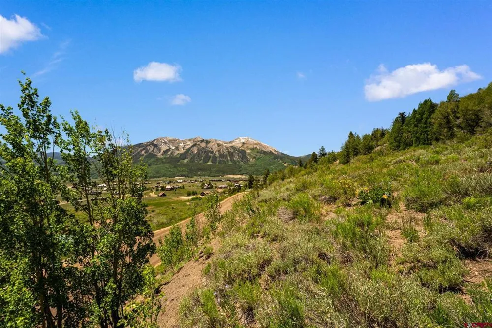 County Road 738 Crested Butte, CO 81224