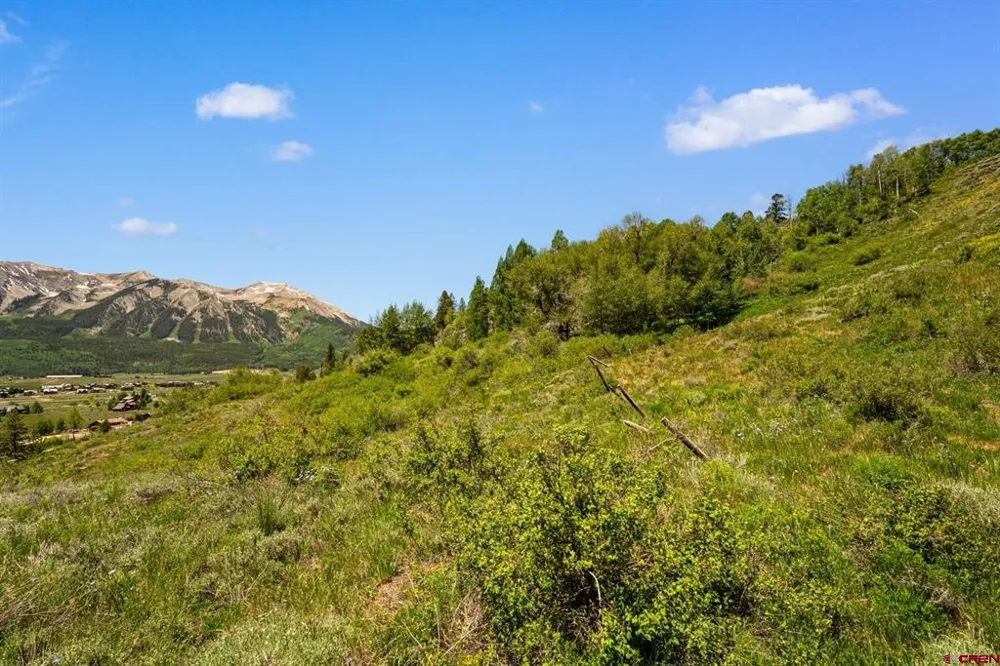 County Road 738 Crested Butte, CO 81224