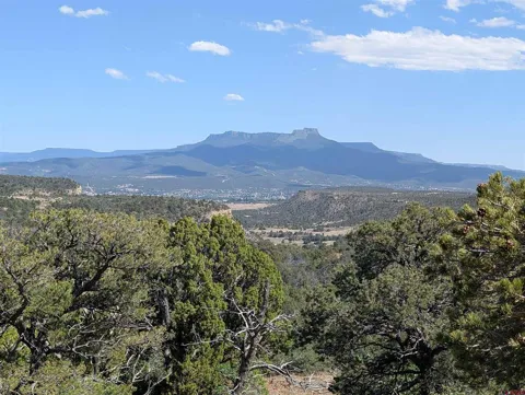 Fishers Peak Ranch Pkwy Lot 14