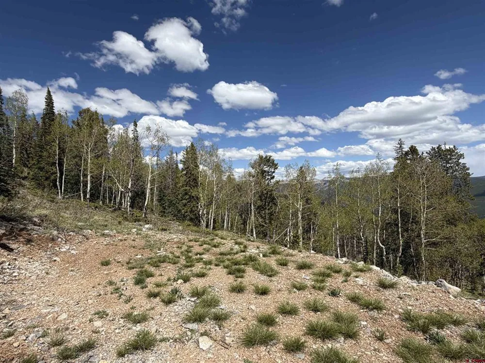 159 Lime Bluff Drive Pitkin, CO 81241