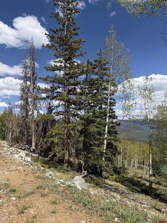 159 Lime Bluff Drive Pitkin, CO 81241