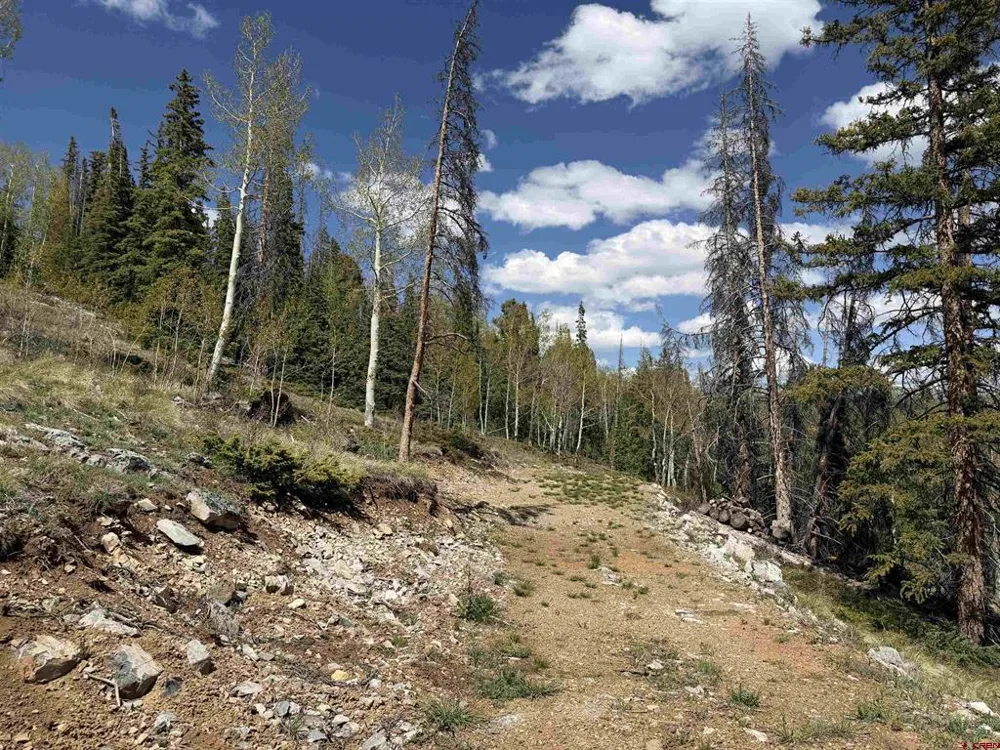 159 Lime Bluff Drive Pitkin, CO 81241