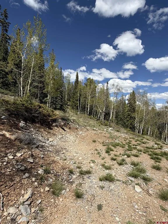 159 Lime Bluff Drive Pitkin, CO 81241