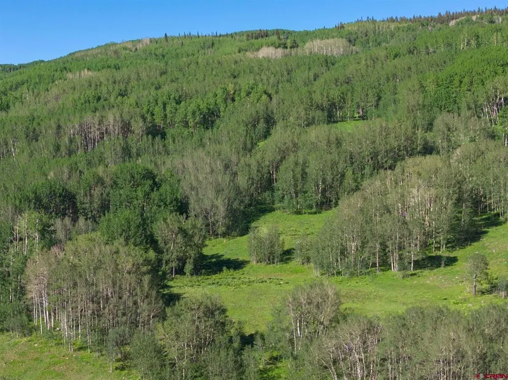 2177 Aspen Mountain Road Crested Butte, CO 81224