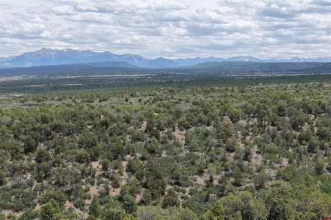 Juniper Drive (42.2Y Road)