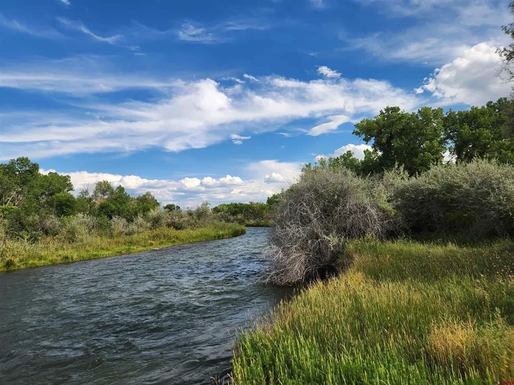 461 , 489 W Main, Spring Creek Rd & 14750 Marine Rd Montrose, CO 81403