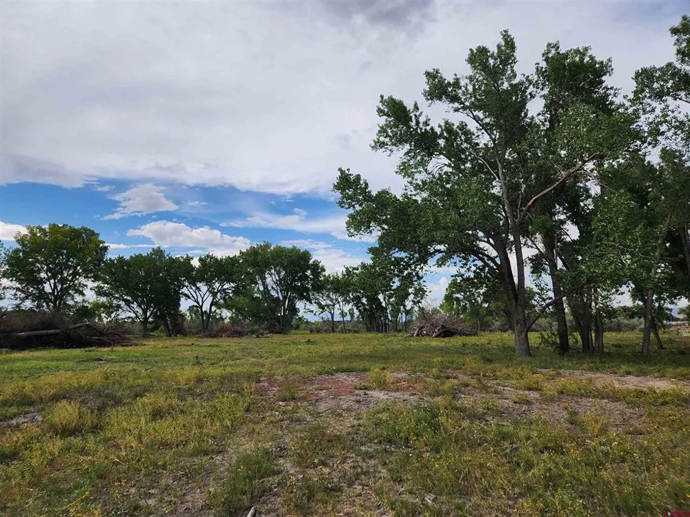 461 , 489 W Main, Spring Creek Rd & 14750 Marine Rd Montrose, CO 81403