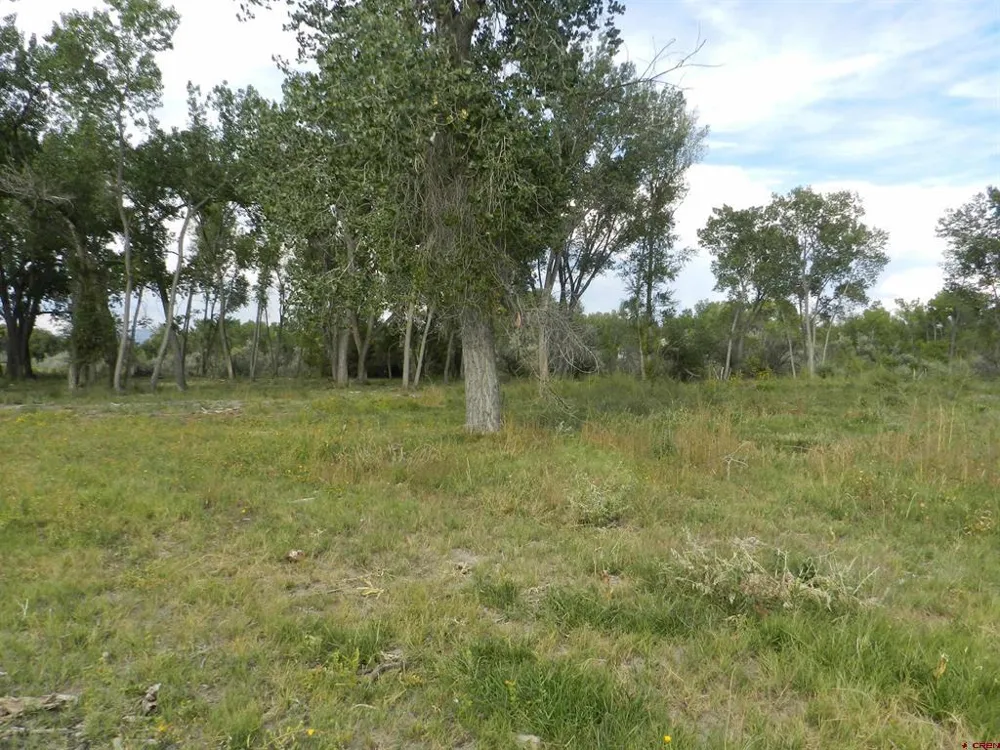 461 , 489 W Main, Spring Creek Rd & 14750 Marine Rd Montrose, CO 81403
