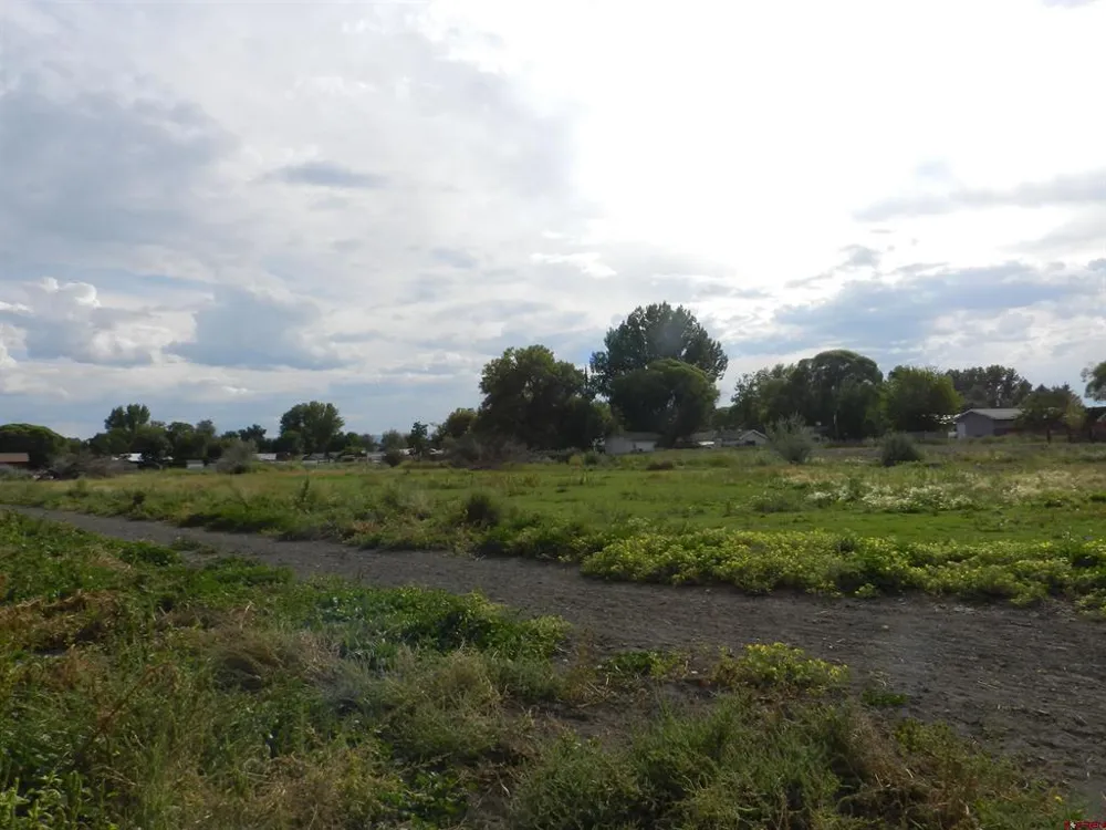 461 , 489 W Main, Spring Creek Rd & 14750 Marine Rd Montrose, CO 81403