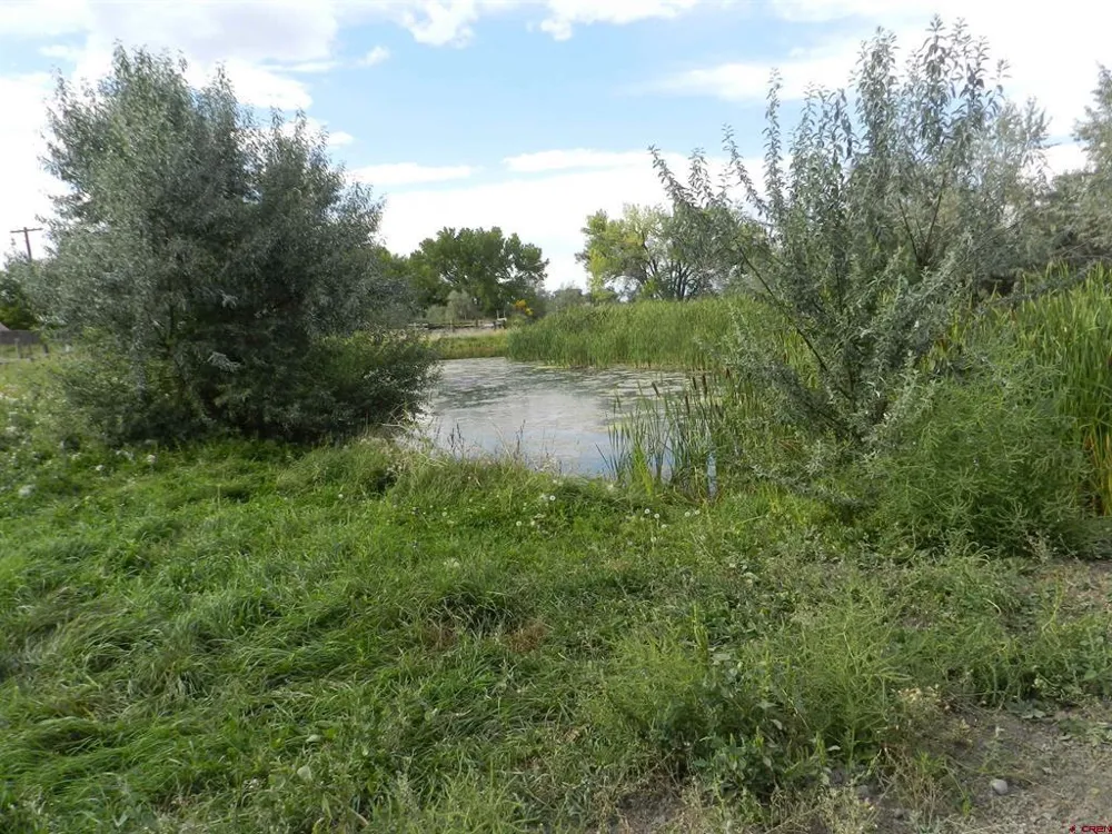 461 , 489 W Main, Spring Creek Rd & 14750 Marine Rd Montrose, CO 81403