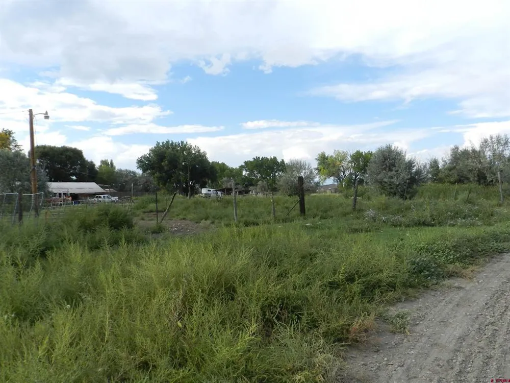 461 , 489 W Main, Spring Creek Rd & 14750 Marine Rd Montrose, CO 81403