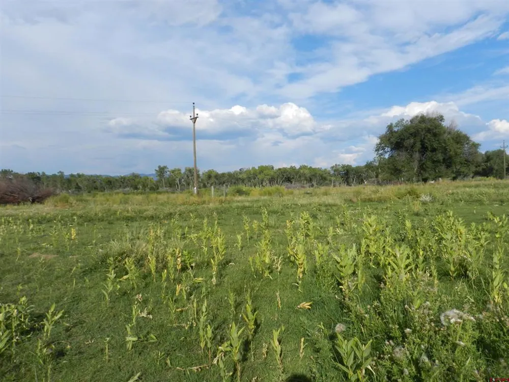 461 , 489 W Main, Spring Creek Rd & 14750 Marine Rd Montrose, CO 81403