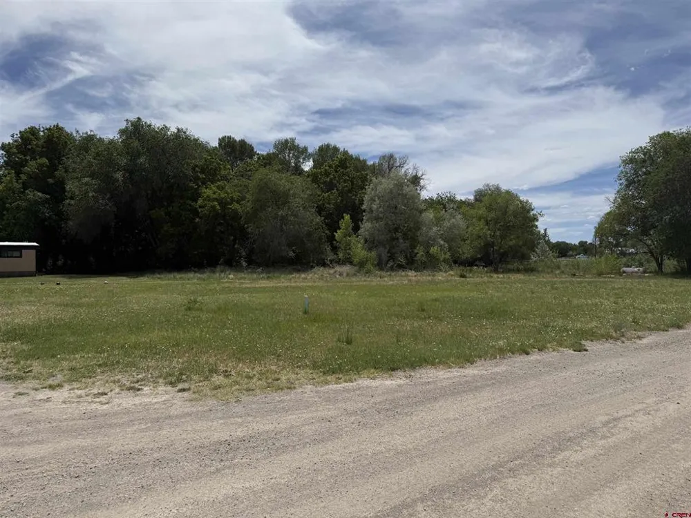 461 , 489 W Main, Spring Creek Rd & 14750 Marine Rd Montrose, CO 81403