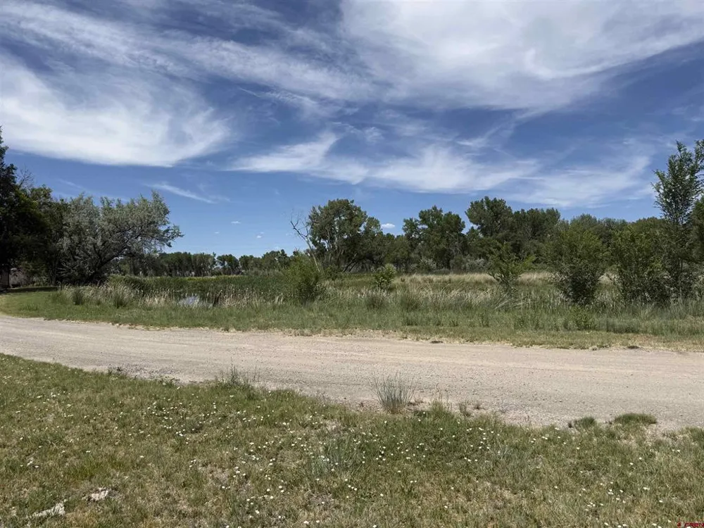 461 , 489 W Main, Spring Creek Rd & 14750 Marine Rd Montrose, CO 81403