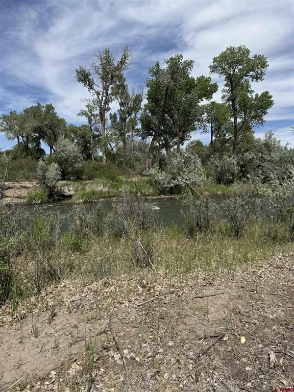 461 , 489 W Main, Spring Creek Rd & 14750 Marine Rd Montrose, CO 81403