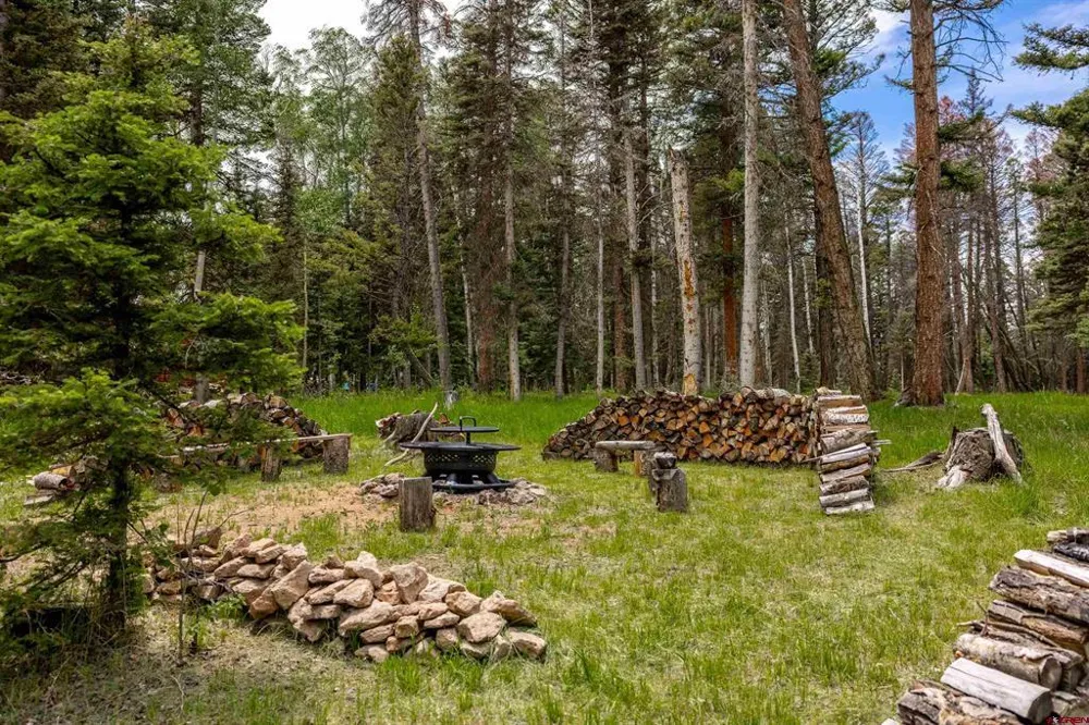 601 Balsam Road Cimarron, CO 81220