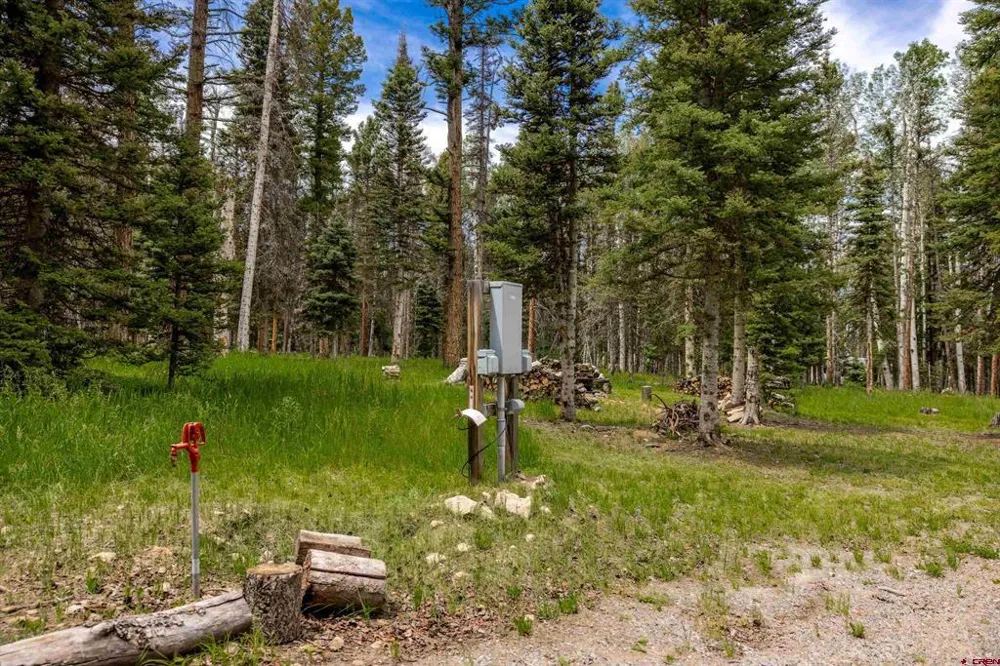 601 Balsam Road Cimarron, CO 81220