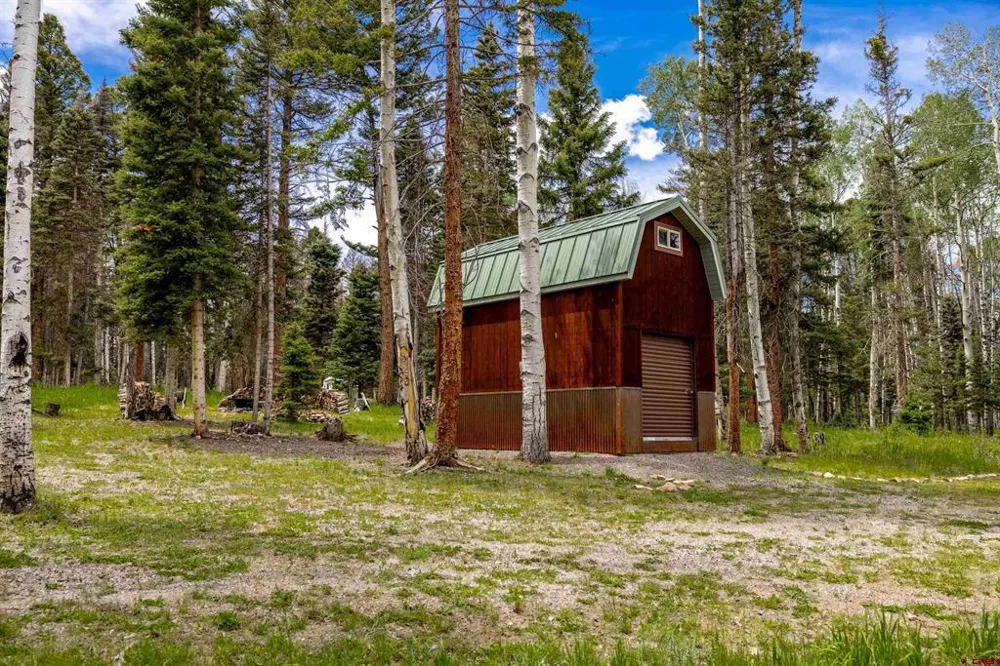 601 Balsam Road Cimarron, CO 81220