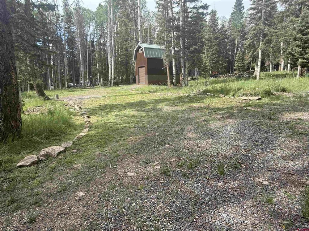 601 Balsam Road Cimarron, CO 81220