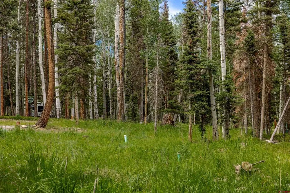 601 Balsam Road Cimarron, CO 81220