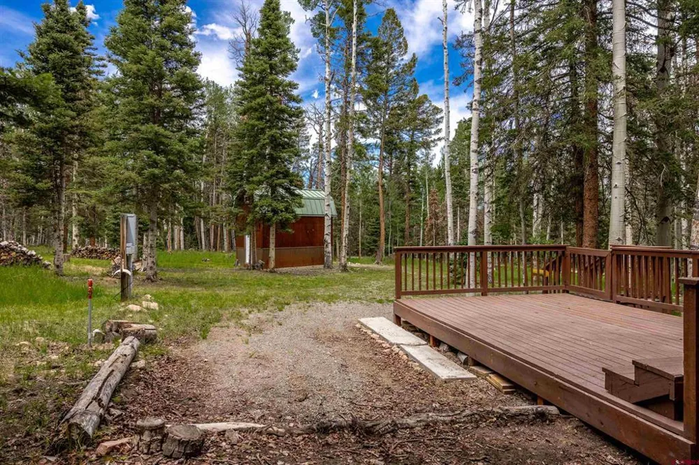 601 Balsam Road Cimarron, CO 81220