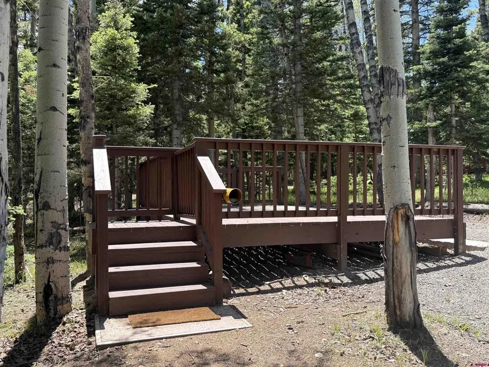 601 Balsam Road Cimarron, CO 81220