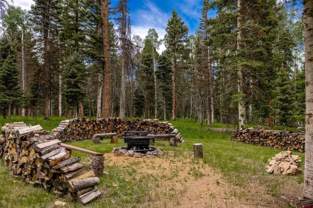 601 Balsam Road Cimarron, CO 81220